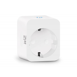 Wtyczka SMART PLUG 8719514552685 TYP F (schuko) WIZ
