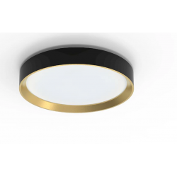 8720169301337 PLAFON Lampa sufitowa 24 W PHILIPS