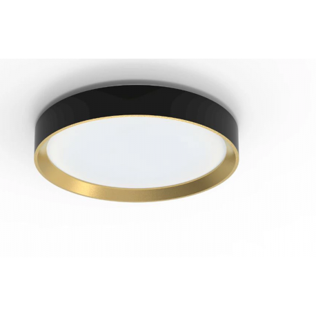 8720169301337 PLAFON Lampa sufitowa 24 W PHILIPS