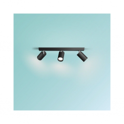 8720169299016 Sufitowy/ścienny reflektor punktowy Idris IP44 ŁAZIENKA PHILIPS