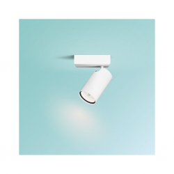 8720169299078 Sufitowy/ścienny reflektor punktowy Idris IP44 ŁAZIENKA PHILIPS