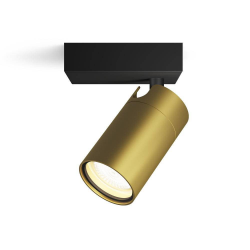 872016929917 Sufitowy/ścienny reflektor punktowy Idris IP44 PHILIPS