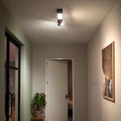 8720169318311Centris 2, sufitowy reflektor punktowy PHILIPS HUE