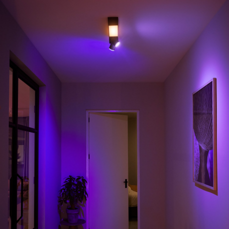 8720169318311Centris 2, sufitowy reflektor punktowy PHILIPS HUE