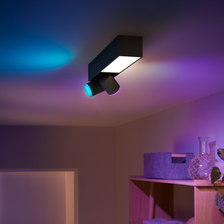 8720169318311Centris 2, sufitowy reflektor punktowy PHILIPS HUE