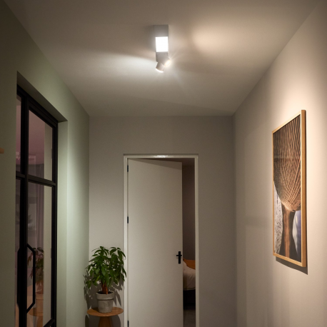 8720169318373  Centris 2, sufitowy reflektor punktowy  PHILPS HUE