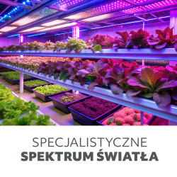 5902201376845 Lampa do roślin LED VERDI 10W KOBI