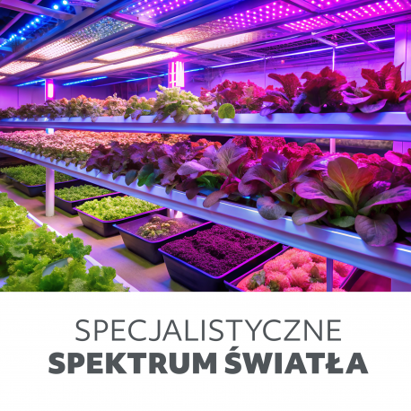 5902201376845 Lampa do roślin LED VERDI 10W KOBI