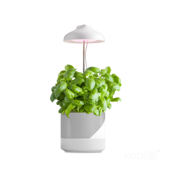 5902201376838 Lampa do roślin LED VERDI 5W KOBI
