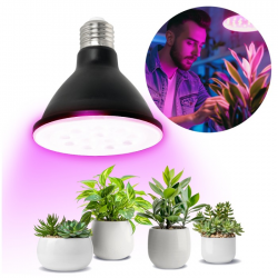 5902201382921 Żarówka do roślin LED PLANTY B 9W E27 1200K czarna Kobi Design