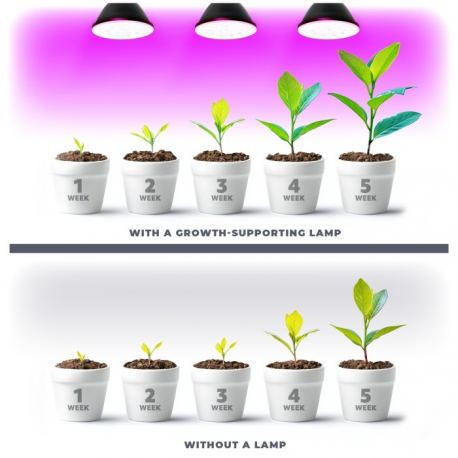 5902201382914  Żarówka do roślin LED PLANTY BIAŁA  9W E27 1200K Kobi Design