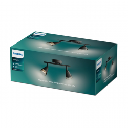 8720169299993 Sufitowy/ścienny reflektor punktowy Cleft 2 PHILIPS