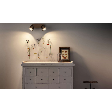 COUNTY 53352/06/16 REFLEKTOR LED PHILIPS