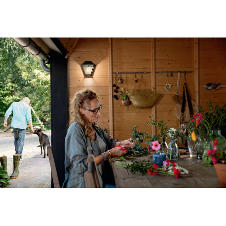 ALPENGLOW 16494/30/PN KINKIET OGRODOWY PHILIPS LED