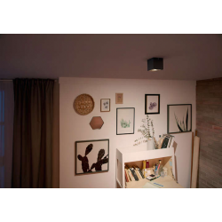 BOX 50491/30/P0 LAMPA OŚWIETLENIE PUNKTOWE PHILIPS