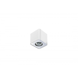 --- d o s t ę p n y -- NINO 1 AZ0598 OPRAWA NATYNKOWA...