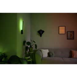 LIANE 40902/30/P7 LAMPA ŚCIENNA LED HUE PHILIPS White and color ambiance