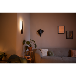 LIANE 40902/30/P7 LAMPA ŚCIENNA LED HUE PHILIPS White and color ambiance