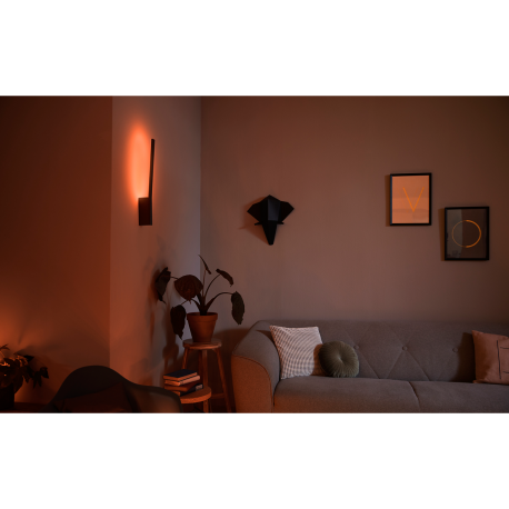 LIANE 40902/30/P7 LAMPA ŚCIENNA LED HUE PHILIPS White and color ambiance
