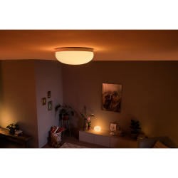 FLOURISH 40905/31/P7 LAMPA SUFITOWA LED HUE PHILIPS white and color ambience