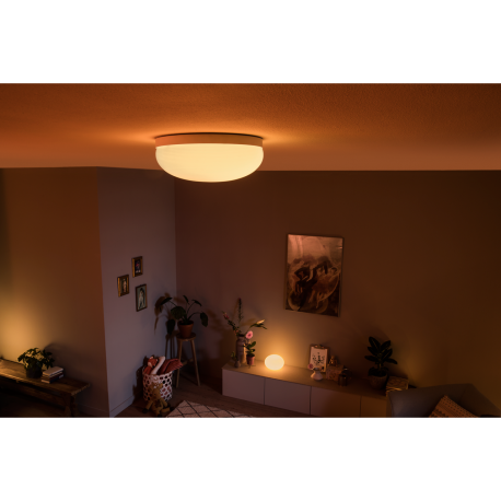 FLOURISH 40905/31/P7 LAMPA SUFITOWA LED HUE PHILIPS white and color ambience