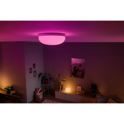 FLOURISH 40905/31/P7 LAMPA SUFITOWA LED HUE PHILIPS white and color ambience