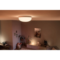 FLOURISH 40905/31/P7 LAMPA SUFITOWA LED HUE PHILIPS white and color ambience