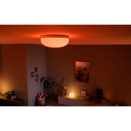 FLOURISH 40905/31/P7 LAMPA SUFITOWA LED HUE PHILIPS white and color ambience